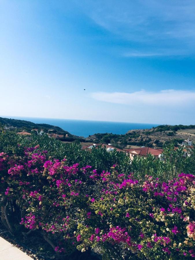 Pissouri Villa Miramar ภายนอก รูปภาพ